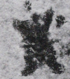 4254735042_041bdb7bfc_b
