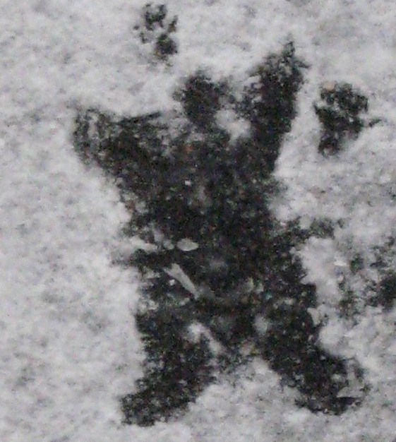 4254735042_041bdb7bfc_b