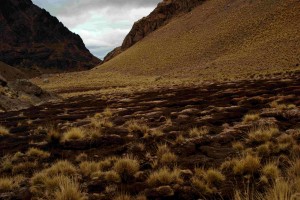 Wetland literally burned by acid runoff