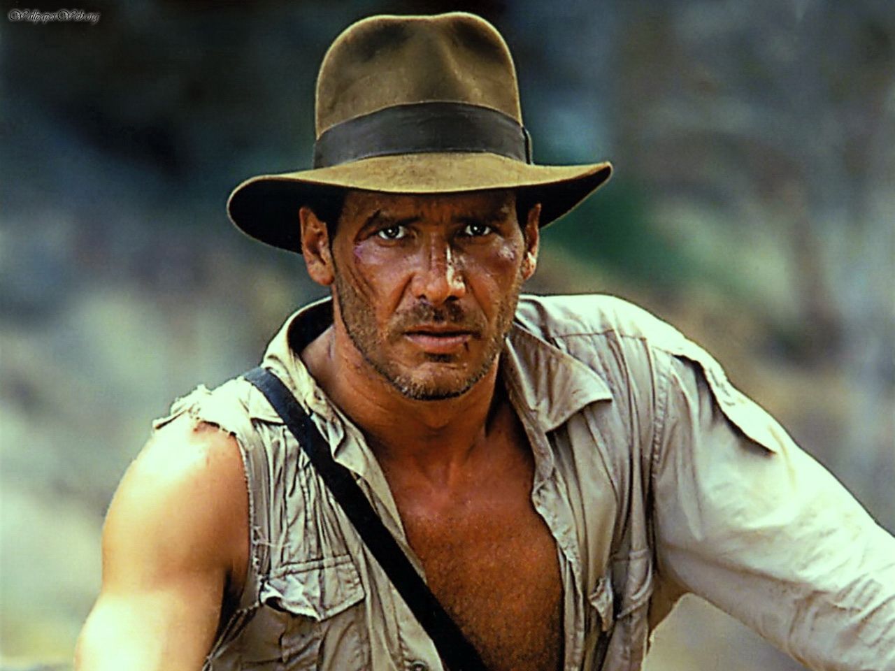 Image result for indiana jones