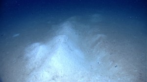 Furrows on the seafloor--a sperm whale strike-out?