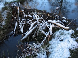 A dam in winter.