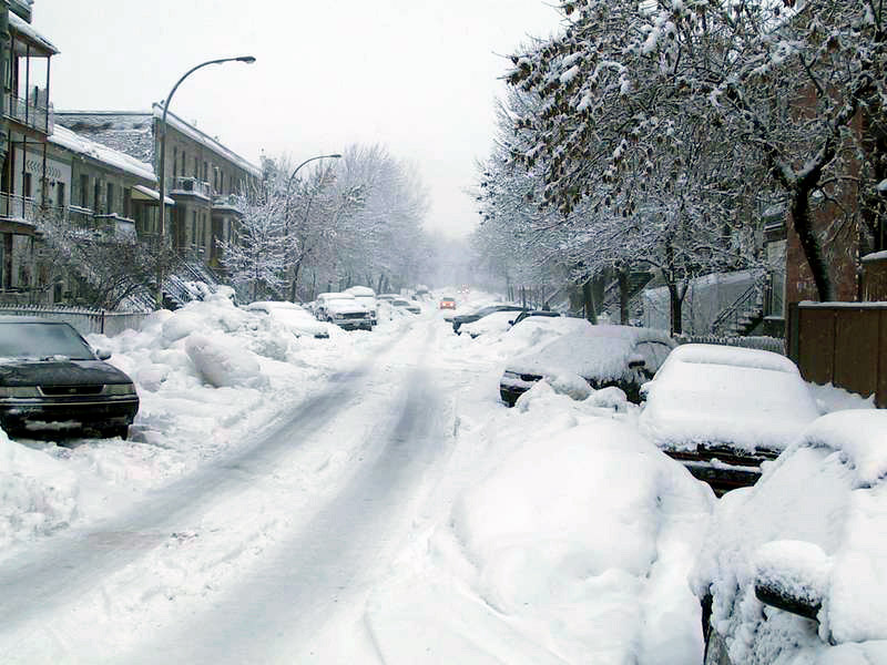 Montreal_-_Plateau,_day_of_snow_-_200312