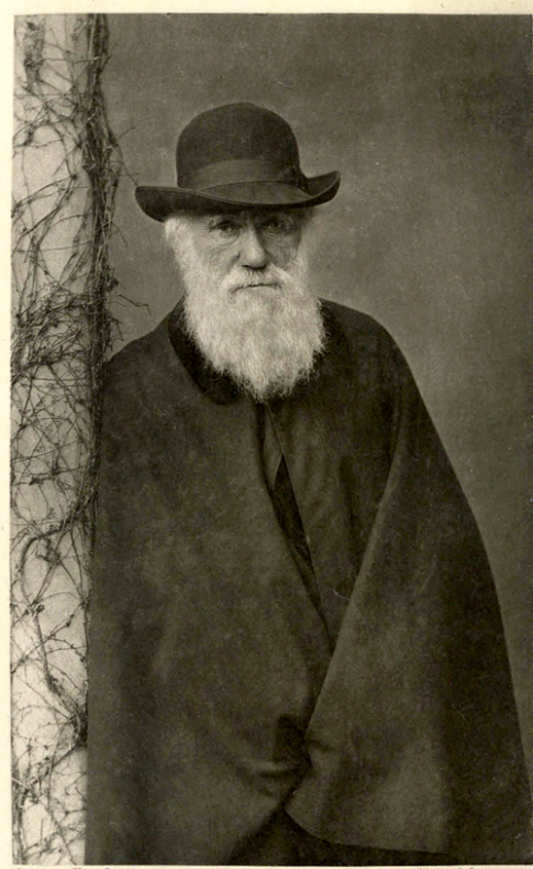 Charles-Darwin-portrait-standing-photo-1881 (2)