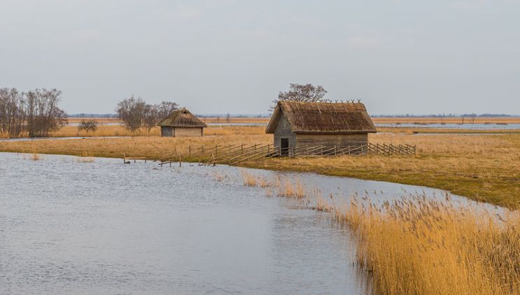 Suitsu_jõgi_Matsalus