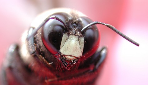 Closeup of a modern-day Archimedes