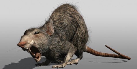 "Rats of unusual size? I don't believe they exist."