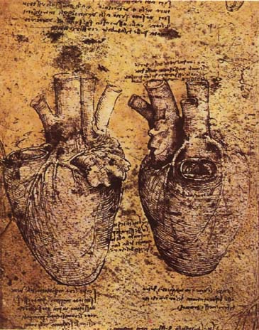 Heart_and_blood_vessels_by_da_Vinci (1)