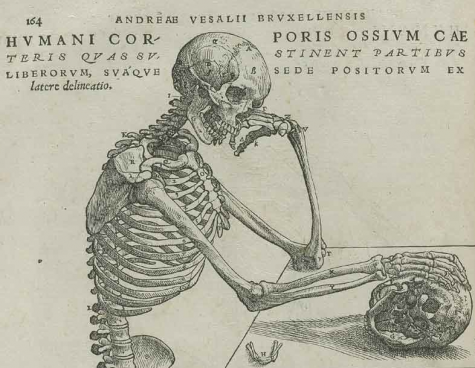 Vesalius for post