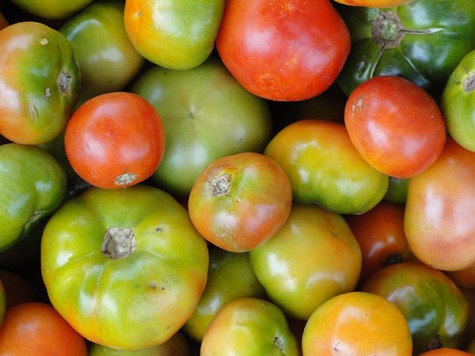 450px-A_scene_of_Tomatoes1