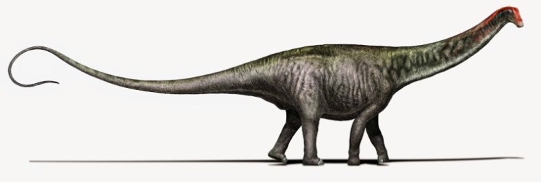 Guest Post: Brontosaurus and Me - The Last Word On Nothing
