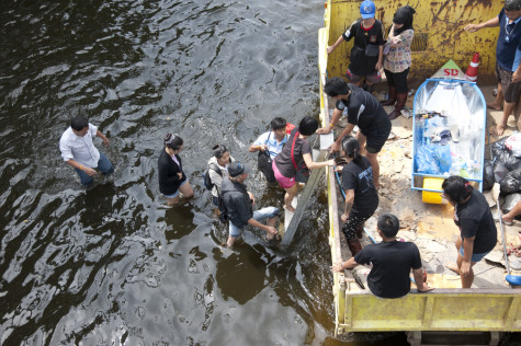 bankok flood