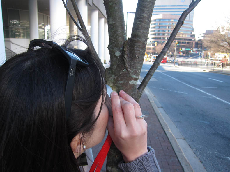 A woman holds a hand lens up to a tree trunk.