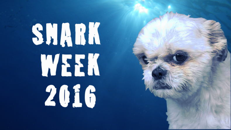 Snark Week2016 -2