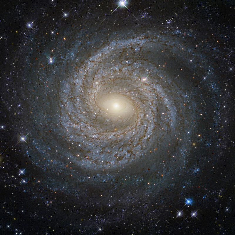 A spiral galaxy composed of uncountable numbers of stars floating in the blackness of space.