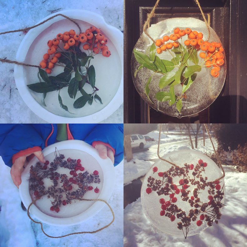 transparent circles of ice with berries and sticks embedded in them, along with loops. Four are shown.