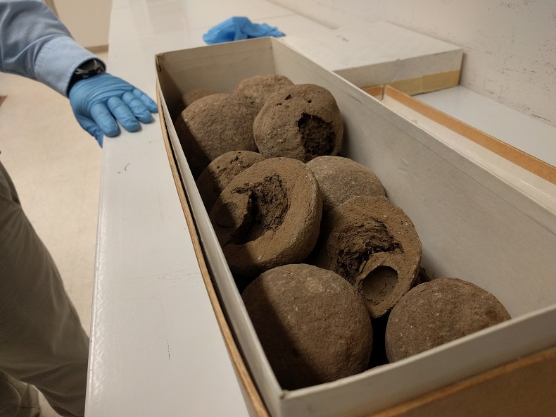 Baseball-sized brown balls in a brown box