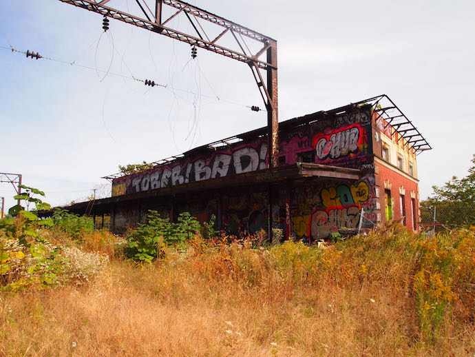 A rail station covered in graffiti with golden grass in front