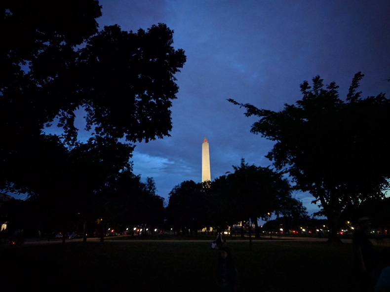 The Washington Monument at night, behind a bunch of trees