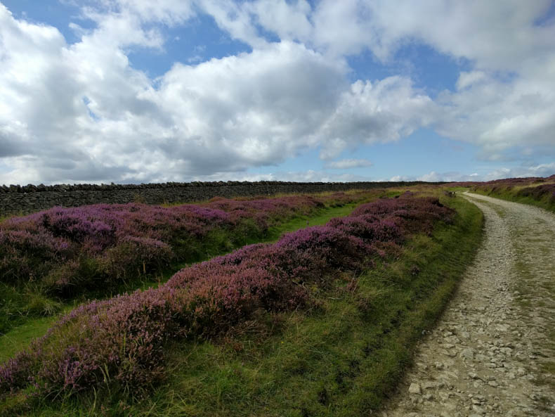 road through heather