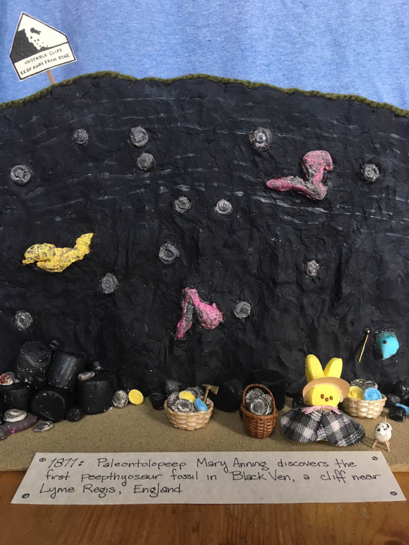 a black cliff with marshmallow skeletons embedded in it and a lady paleontolopeep standing on the beach with her marshmallow dog