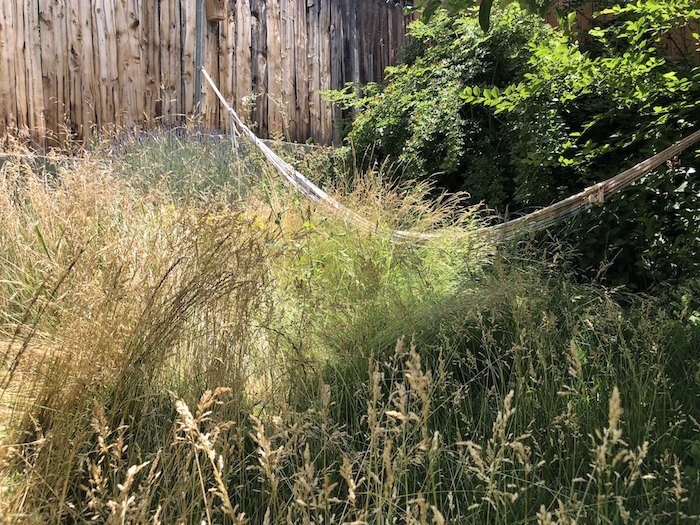 A hammock nearly obscured by long flowing grasses