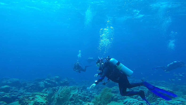 a scuba diver in blue water, gesturing at some coral