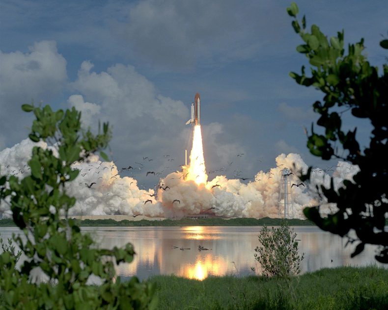 shuttle-launch-with-birds