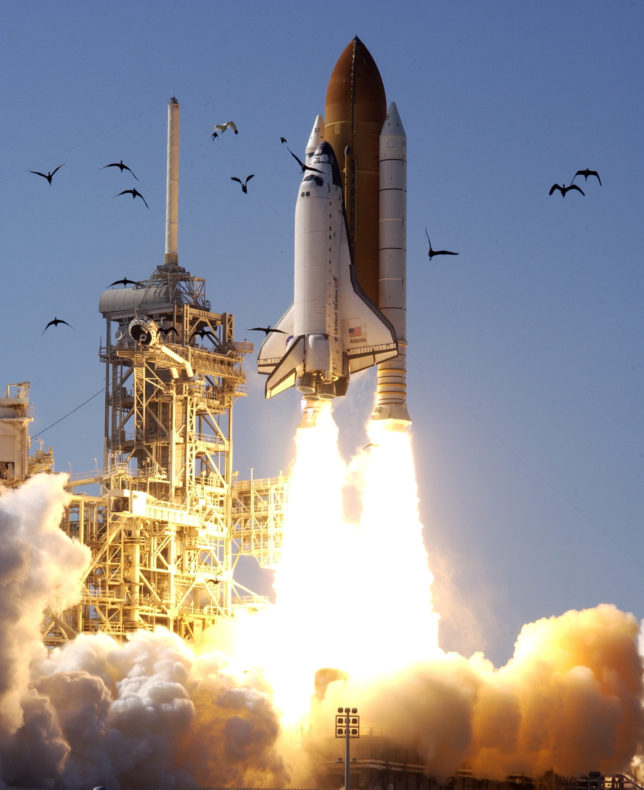 shuttle-launch-closeup-birds