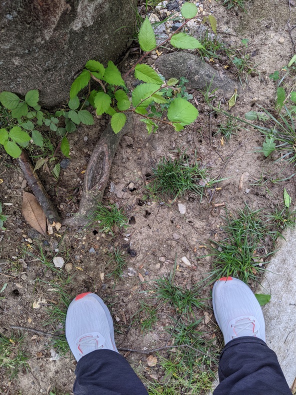 Holes in the ground, with shoes for scale