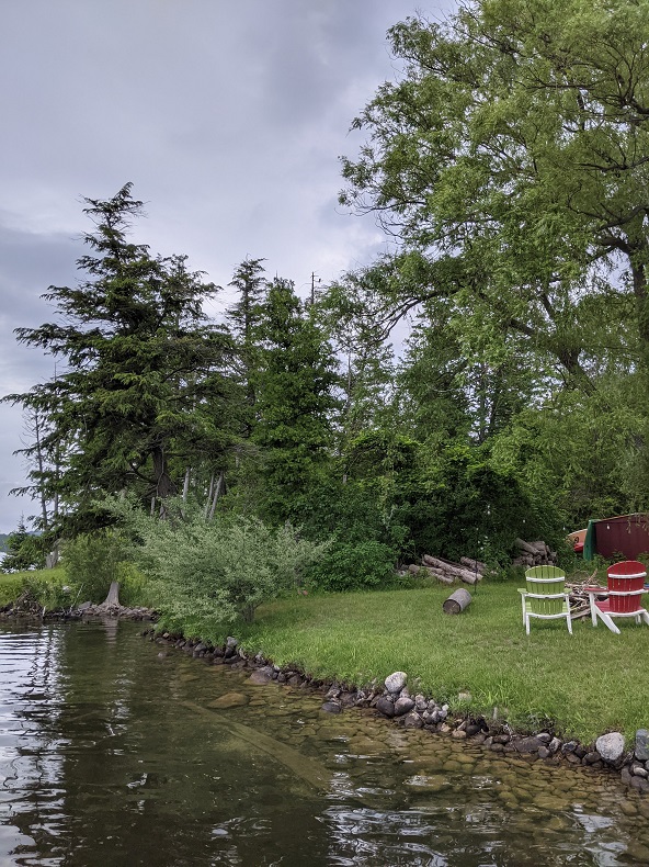 a shoreline with trees