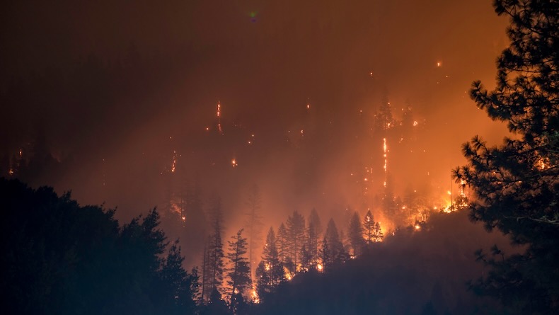 A dark, hazy wildfire scene. The blazing trunks of distant trees can just be made out through the smoke.