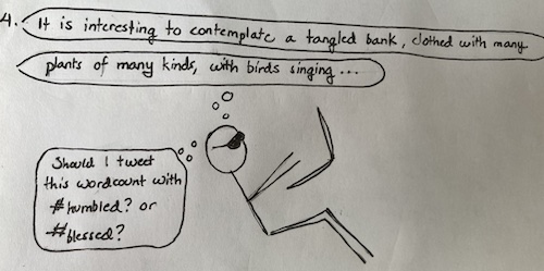 A stick figure reclines, wearing sunglasses, in front of a laptop. The writer wonders if they should tweet their wordcount with #humbled? Or #blessed? They're both so, so true. They write, "it is interesting to contemplate a tangled bank, clothed with many plants of many kinds, with birds singing..." 