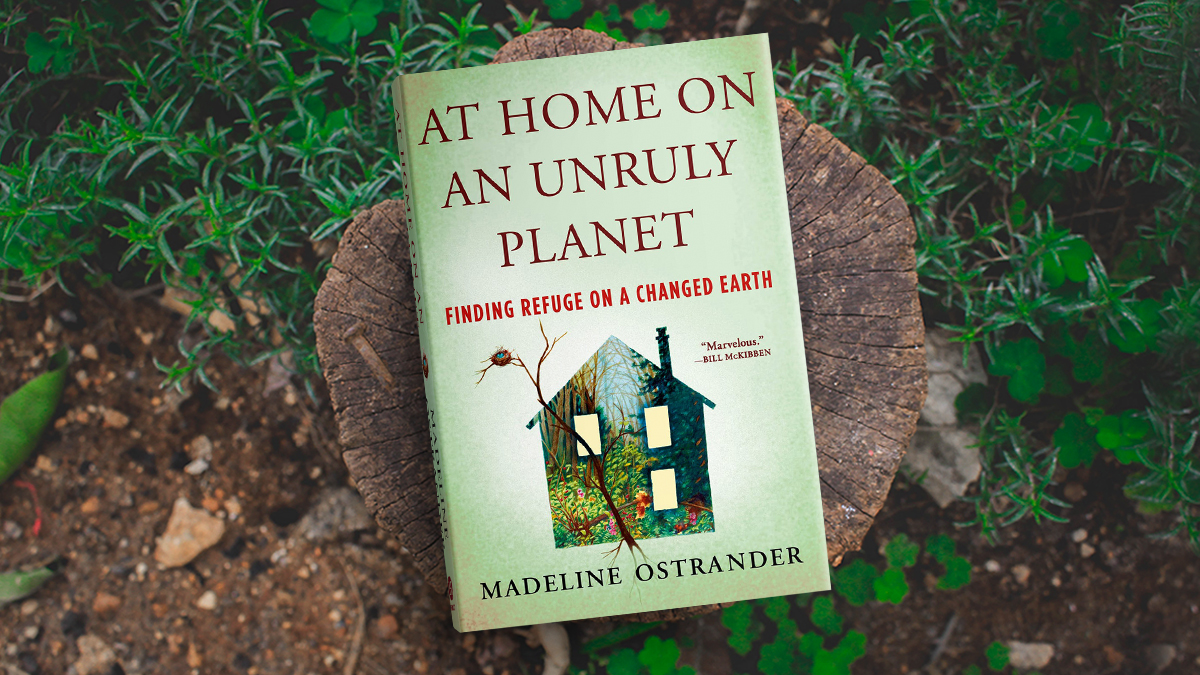 A book resting on a tree stump among soil and verdant greenery. The book cover says AT HOME ON AN UNRULY PLANET: FINDING REFUGE ON A CHANGED EARTH. An illustration depicts the silhouette of a house made up of forest imagery. Under the illustration is the name MADELINE OSTRANDER.