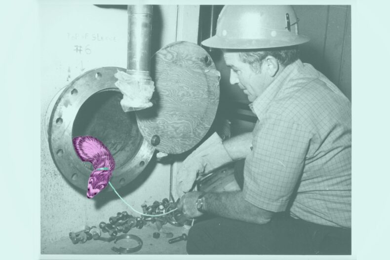 A black-and-white photograph altered with colored pencil. The photograph shows a man in a hard hat crouching by one end of a metal tube. The floor beneath the tube is strewn with large metal bolts. The illustration depicts a tiny fuchsia ferret exiting the tube, poking her nose into the room. A string trails from the ferret’s collar to the man’s hand. The string is turquoise-green on the ferret end and fades to gray as it approaches the man.