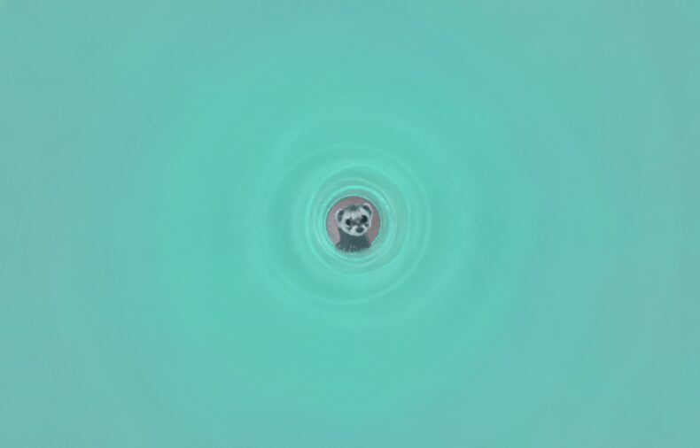 A colored pencil drawing of a tiny ferret seemingly viewed along the telescope-like length of a vast turquoise-green tunnel.
