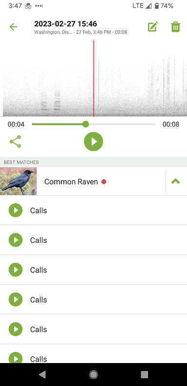 Screenshot of an app, identifying the sound of a common raven