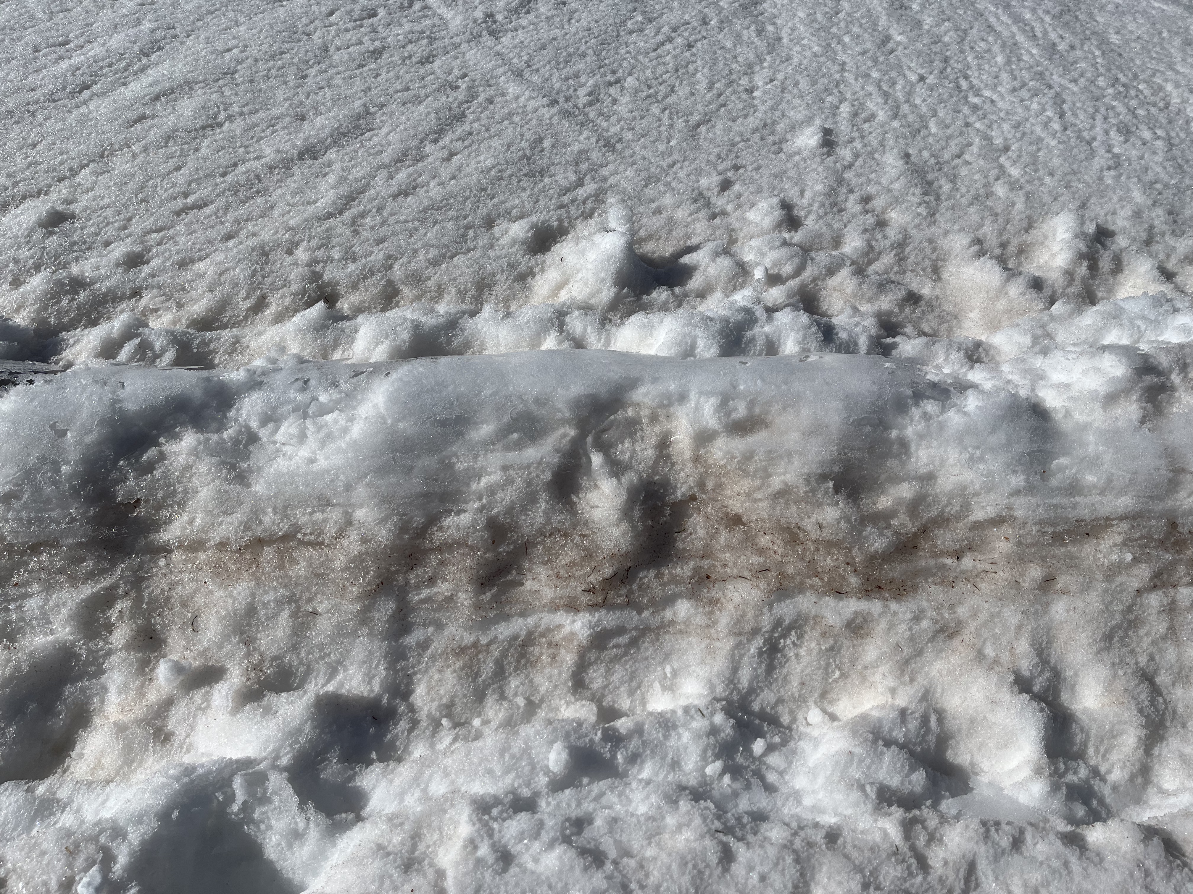 A layer of dust is visible in the snowpack.