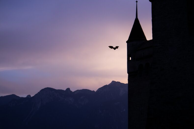 Photograph of a castle and a bat silhouetted at twilight. A dark mountain range is visible in the distance. 