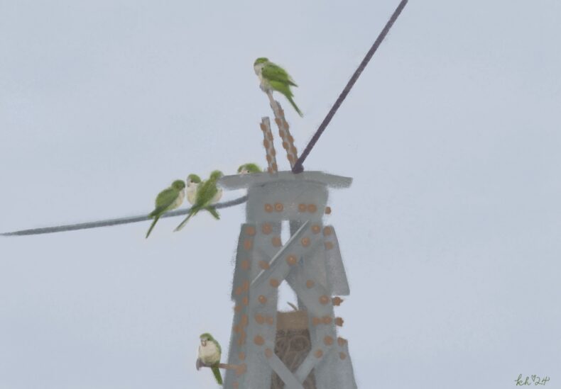 A colored pencil drawing of lime-green parakeets perched atop an electrical tower and on the surrounding wires.