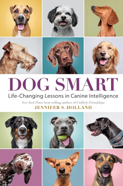 A book cover featuring closeup photos of twelve different dogs. The book title is "DOG SMART: Life-Changing Lessons in Animal Intelligence." The author is Jennifer S. Holland.